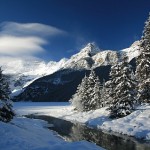 Newsletter: December 2011 Newsletter: December 2011