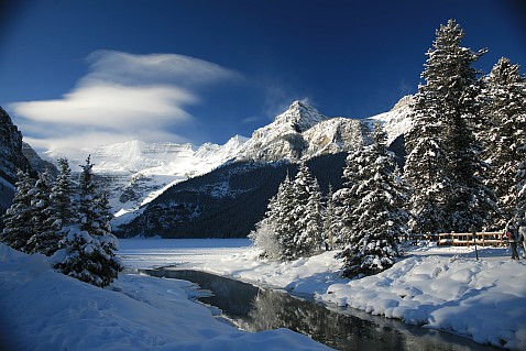 Newsletter: December 2011 Newsletter: December 2011